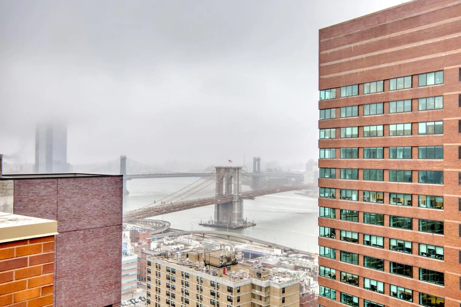 Fidi 1Br W Wd Doorman Elevator Roof Nyc-771 Apartment New York