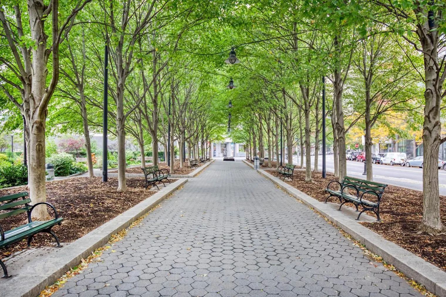 Fidi 1Br W Wd Doorman Elevator Roof Nyc-771 Apartment New York